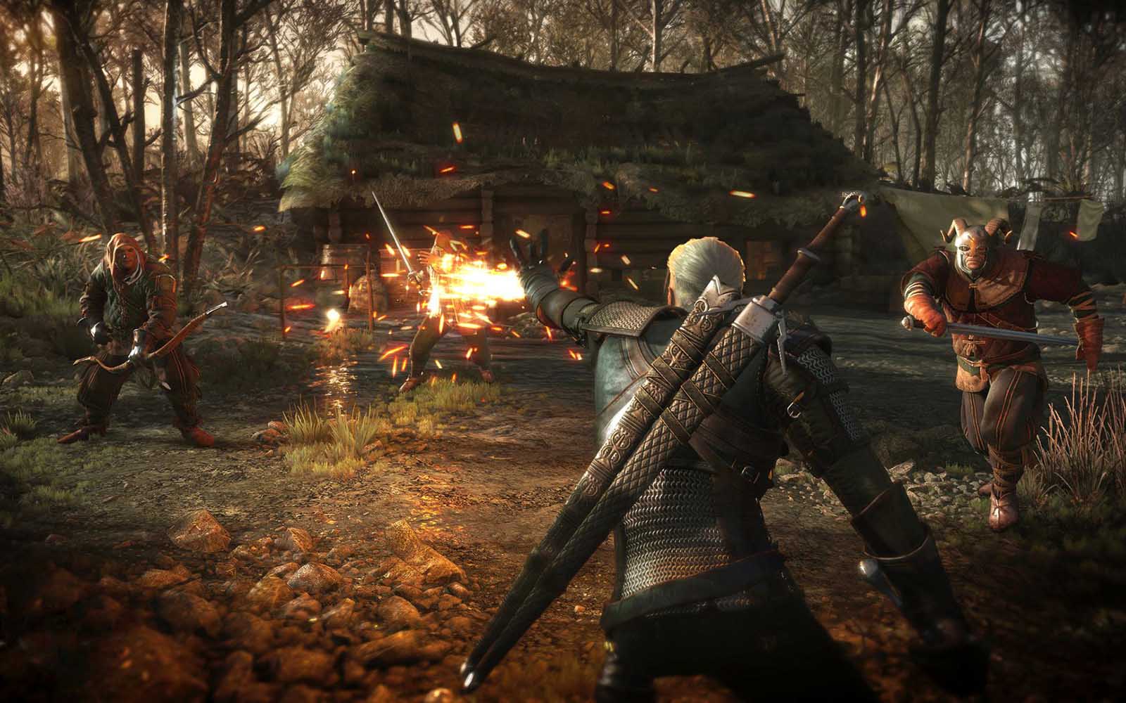 witcher-1-pcgh.jpg