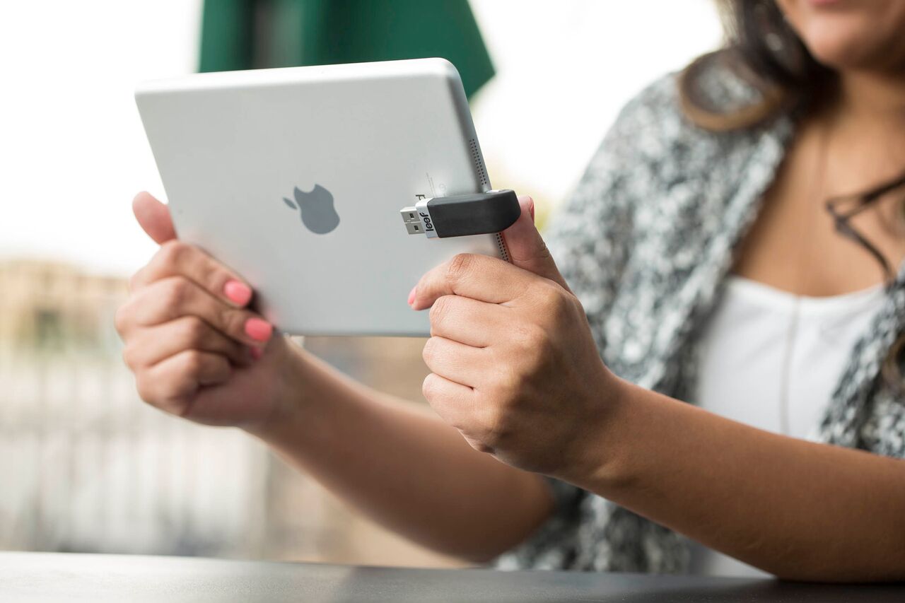 ibridge.jpg