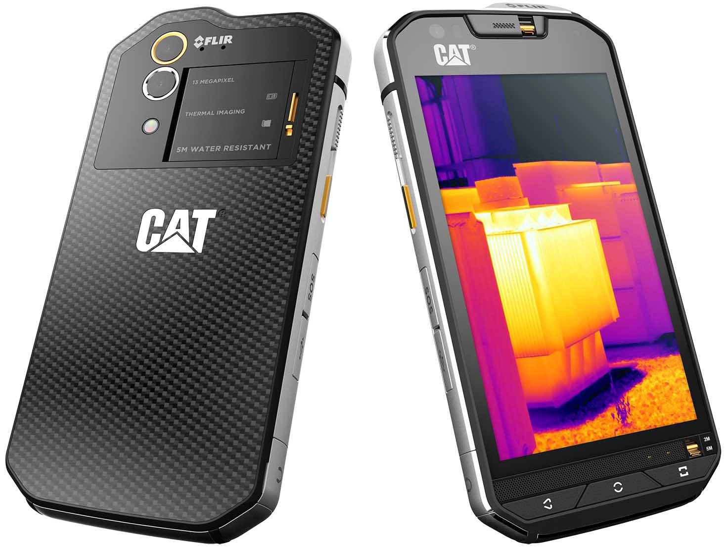 cat_flir.jpg