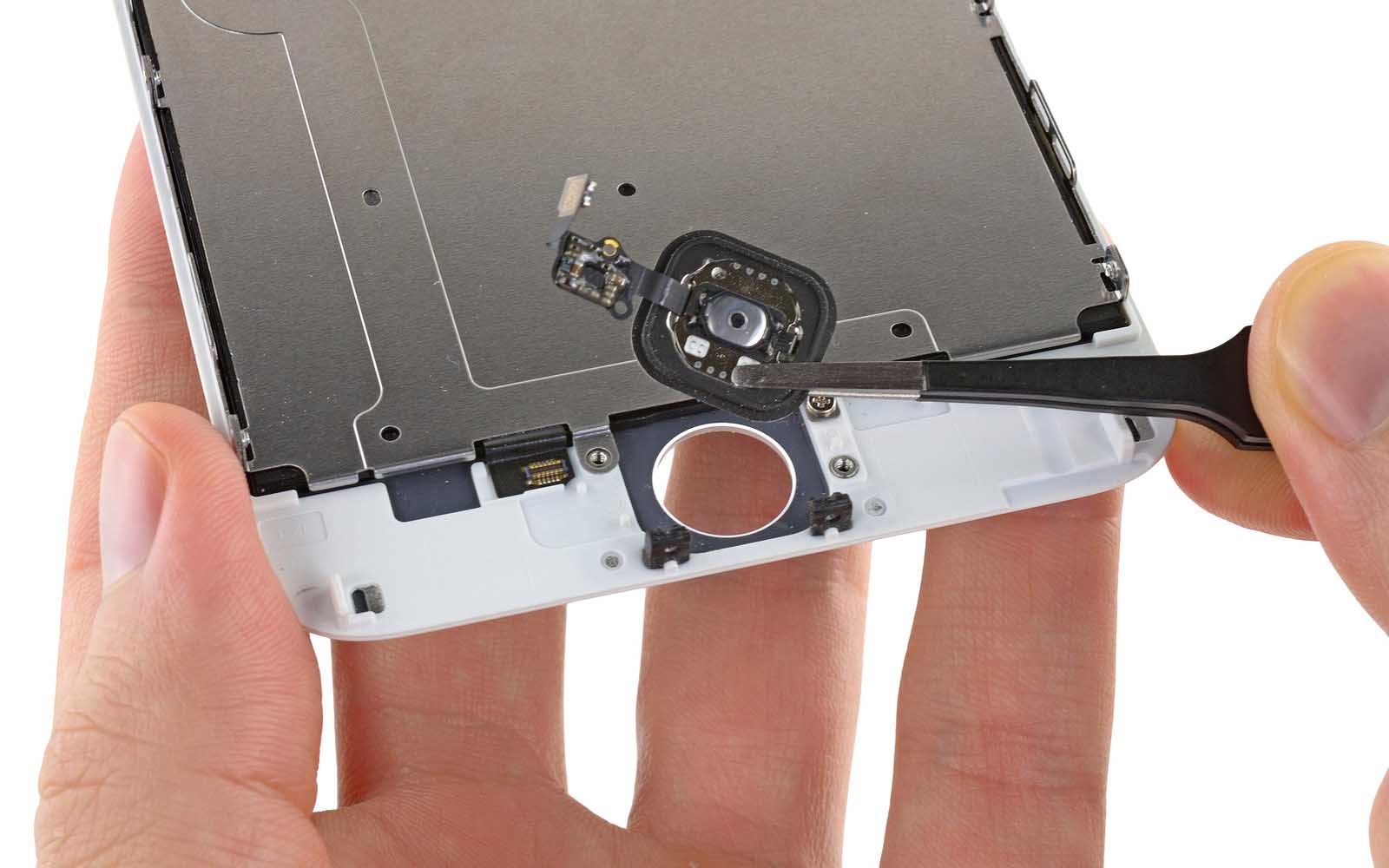 touch_id_ifixit.jpg