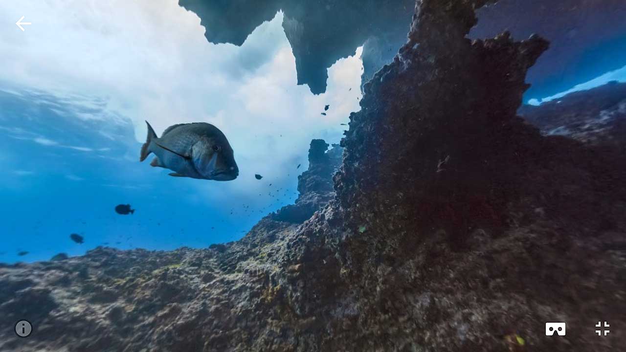 vr_view_01.jpg