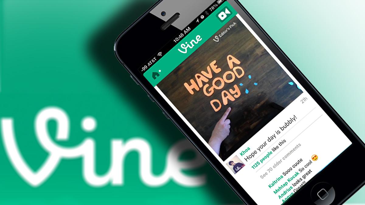 vine.jpg