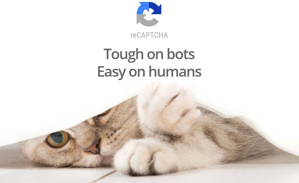 recaptcha.jpg