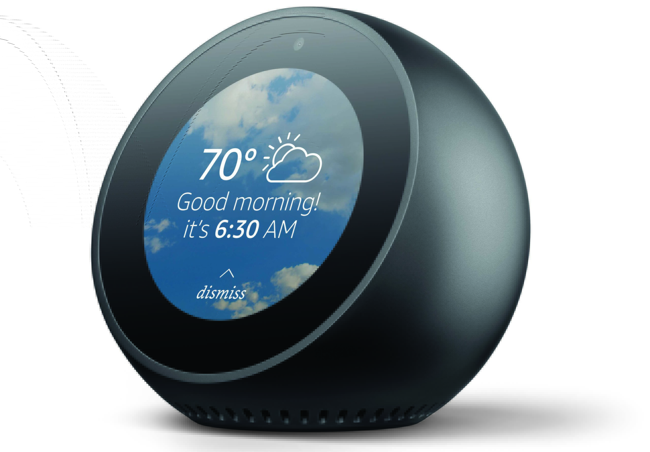 echo_spot.jpg