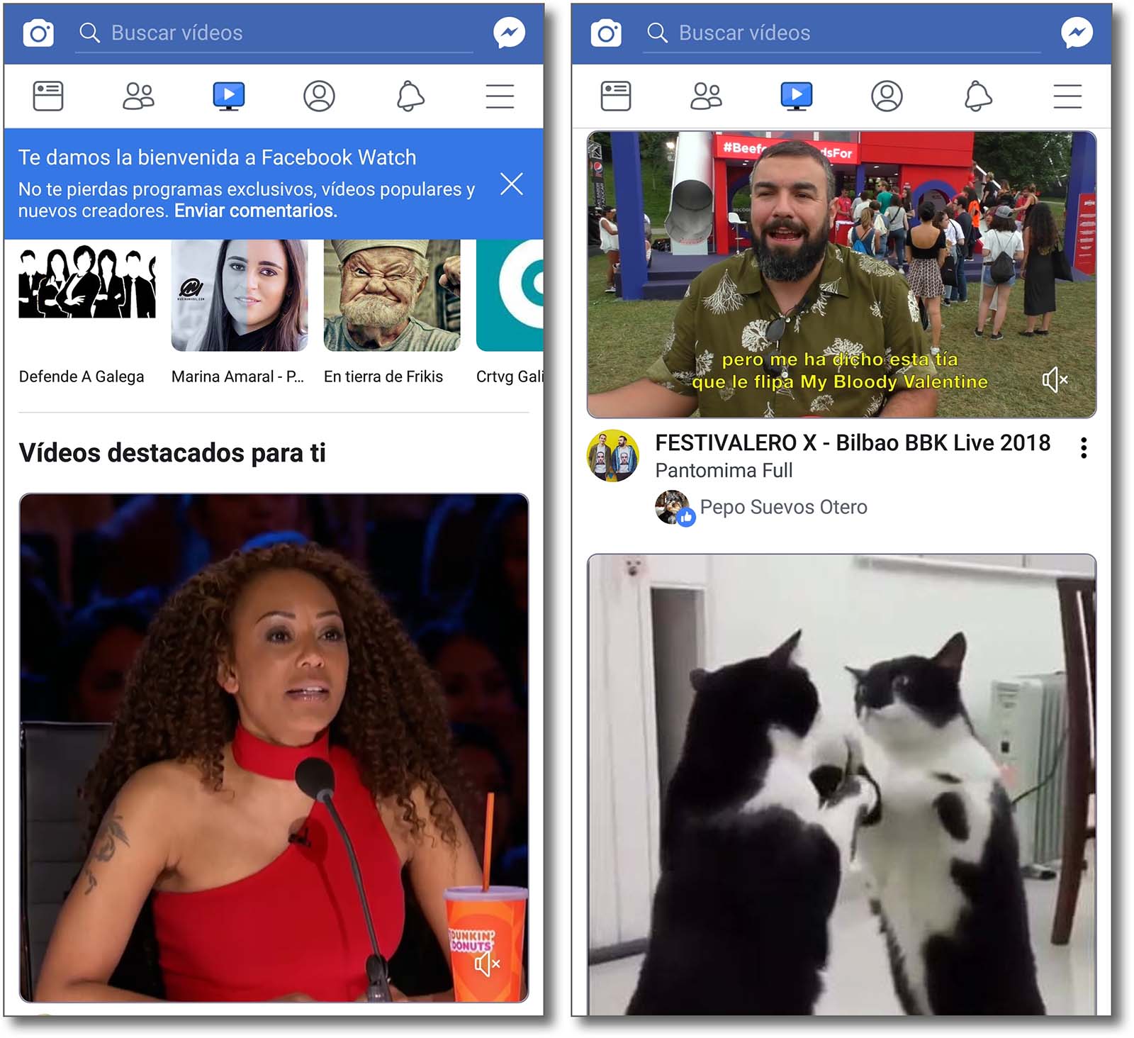 facebook_watch.jpg