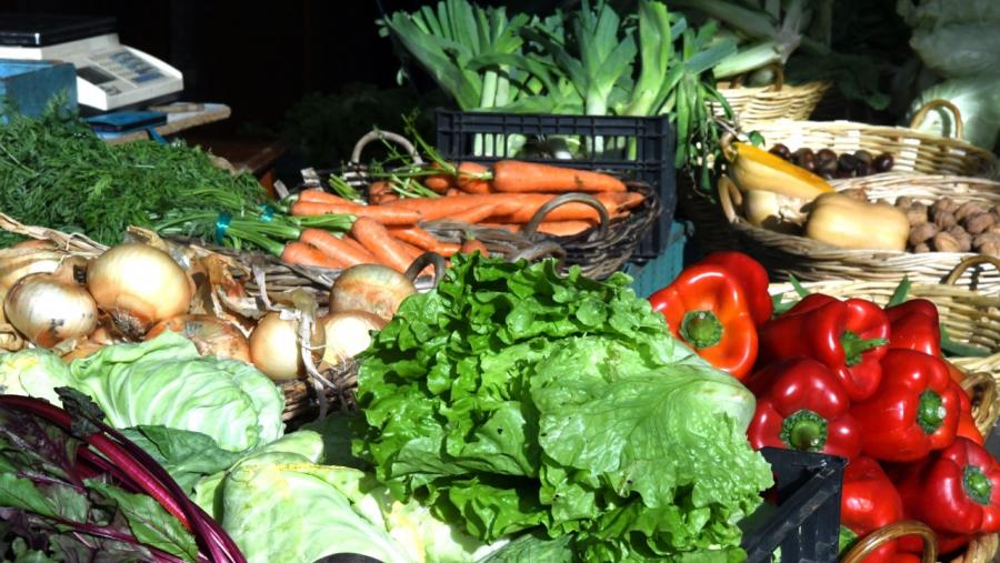 alimentos_nutrium_usc.jpg