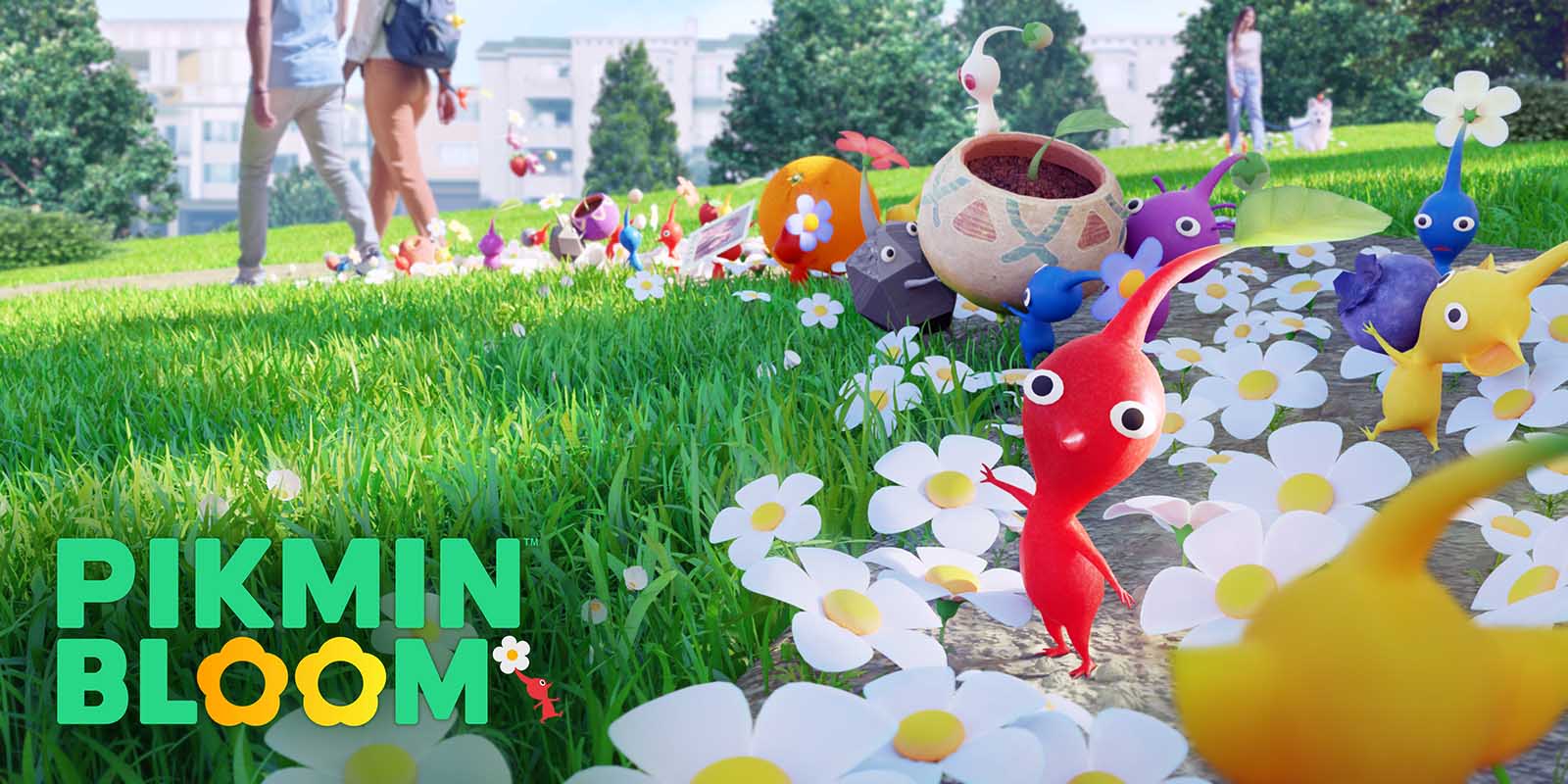pikmin_bloom.jpg