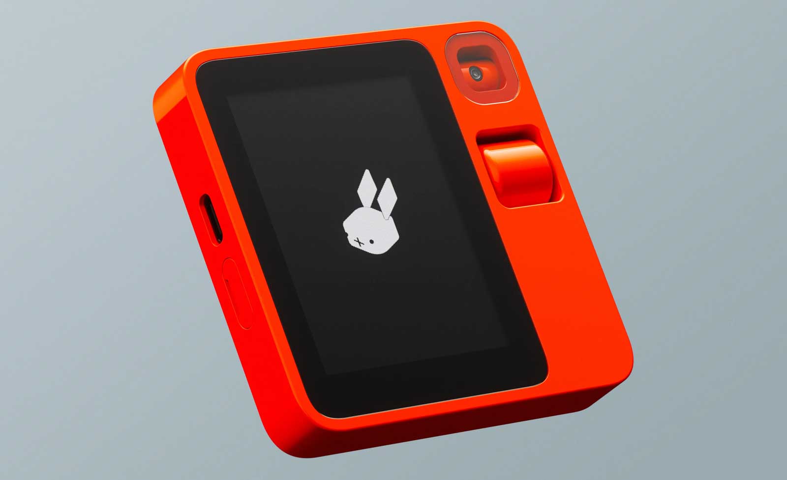 rabbit_4.jpg