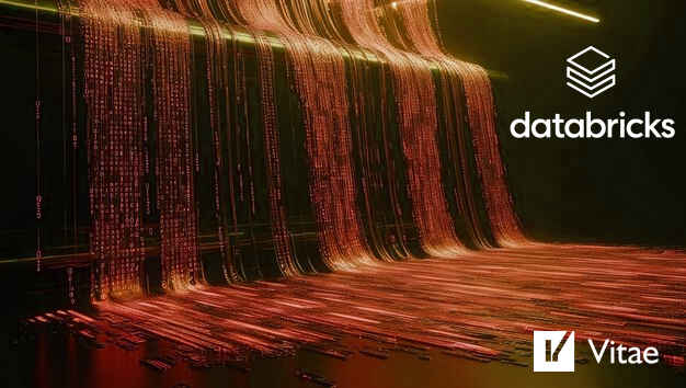 databricks_vitae_1.jpg