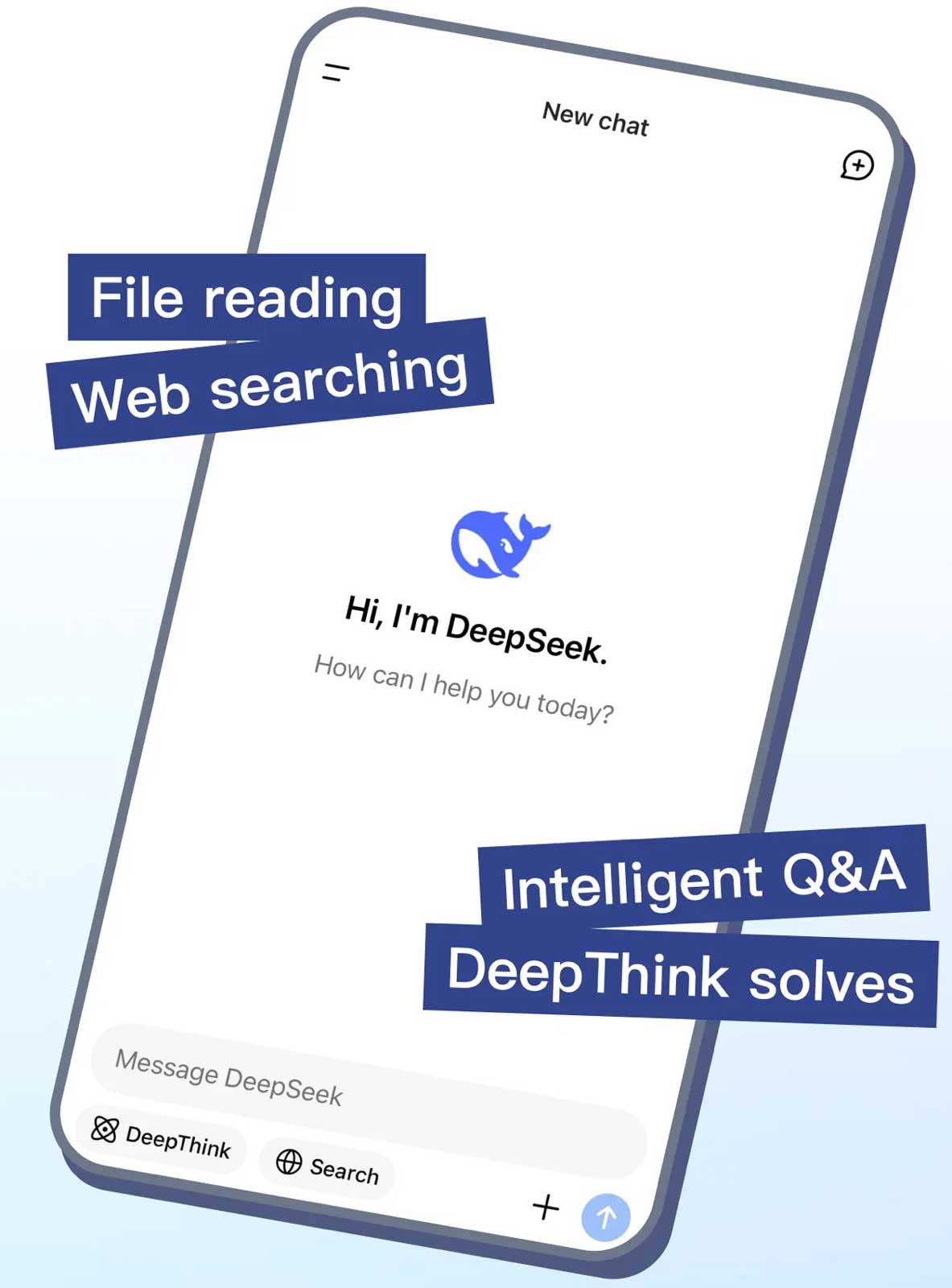 deepseek_app.jpg