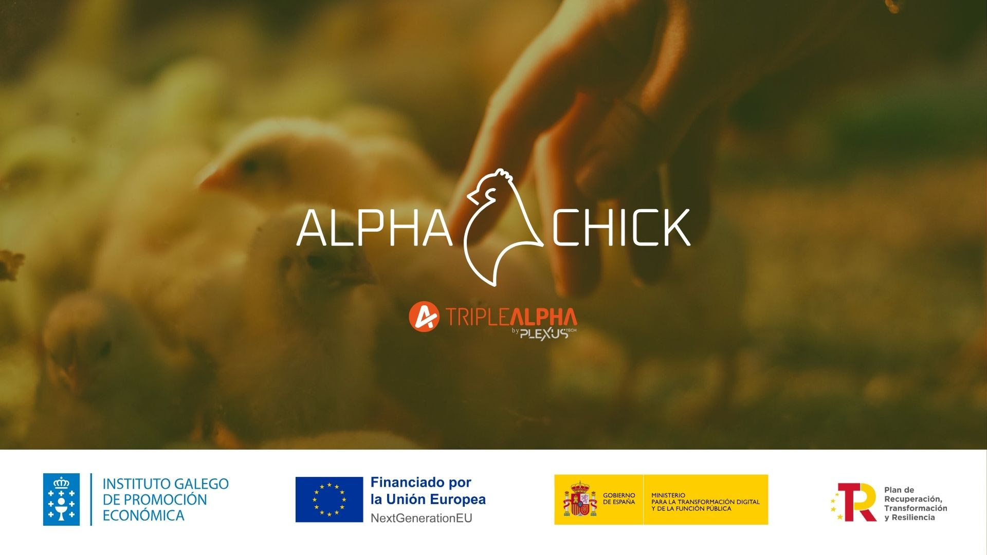 alpha_chick.jpg