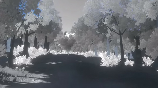 Reflections Reflections: el melancólico juego sobre tu propia vida