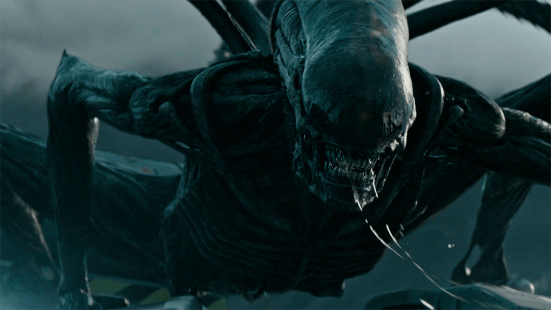 alien scott Alien: Awakening será el próximo proyecto de Ridley Scott dentro del universo Alien
