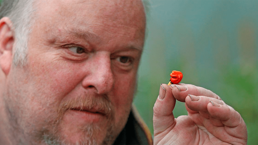 chile El chile más picante del mundo es un arma mortal creada por accidente