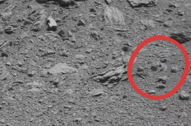 Jabba the Hutt marciano captado por el Cursiosity  (NASA)