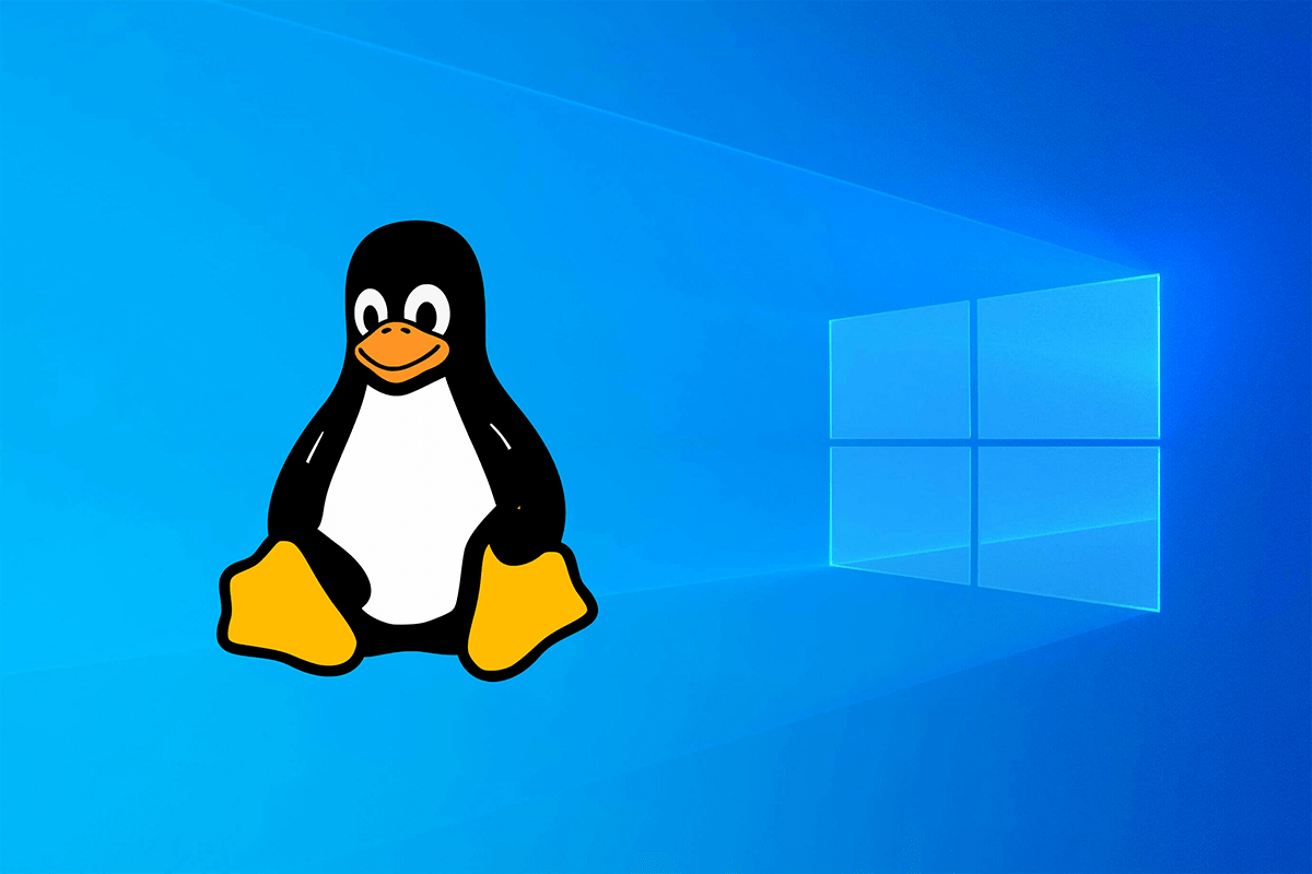 Linux Windows 10
