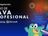 Curso Profesional De Java
