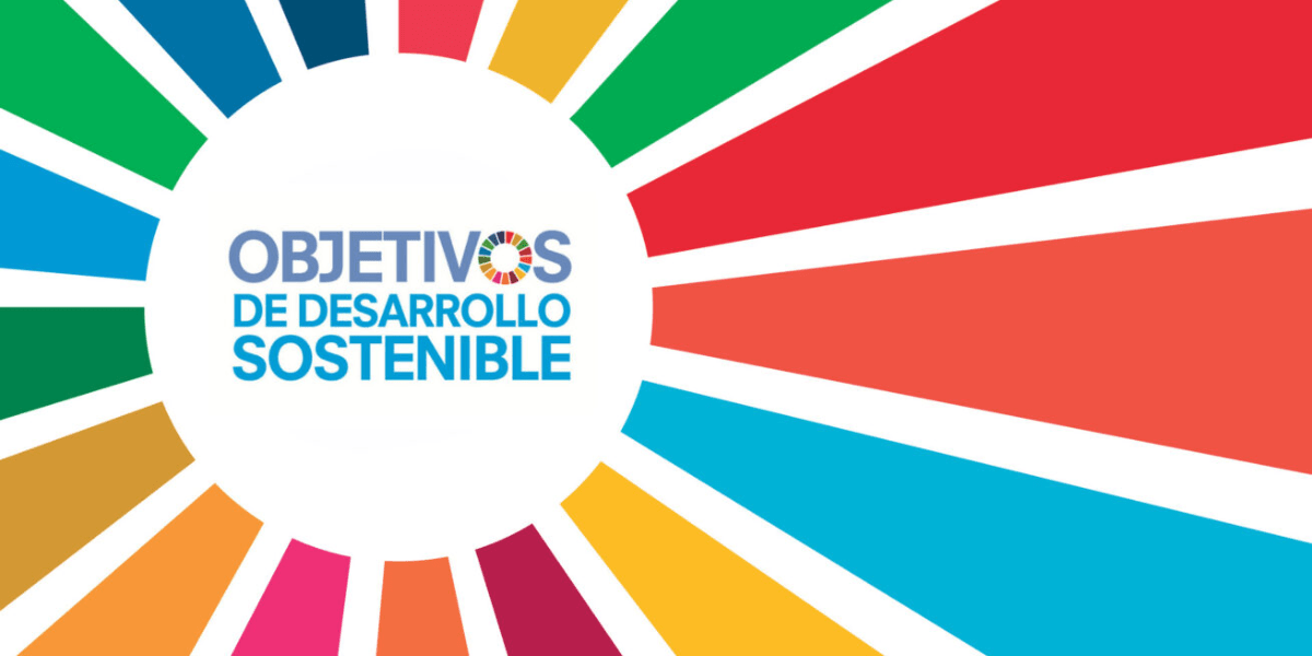 Lee más sobre el artículo 14 de Octubre: Día Mundial de los Estándares