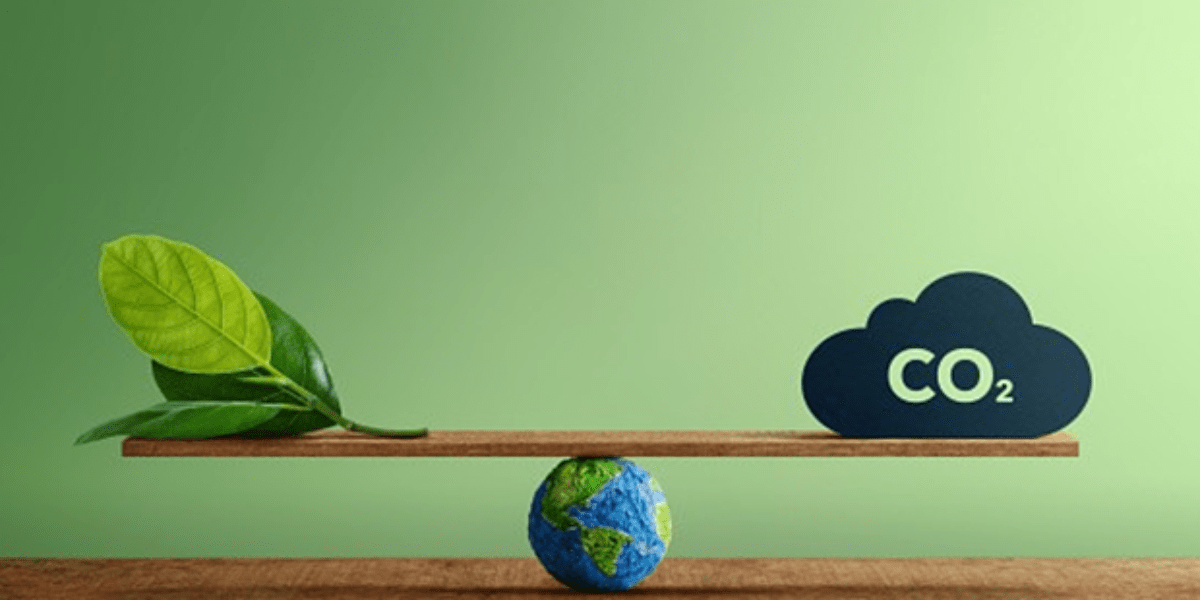 Lee más sobre el artículo GDSN y Huella de Carbono: Claves para Cumplir con el Pacto Verde Europeo