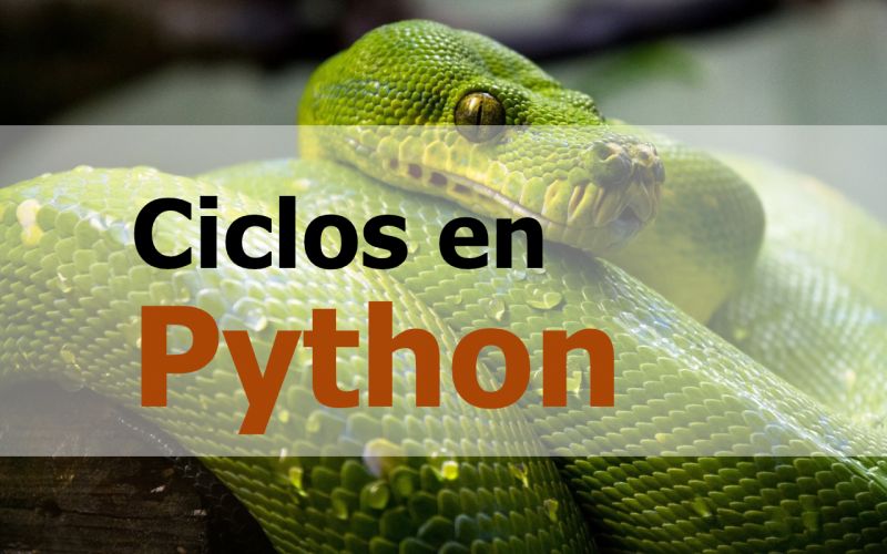 Ciclos For En Python Dataflexing - Colorful Photos - Perfect Ultra HD Collection