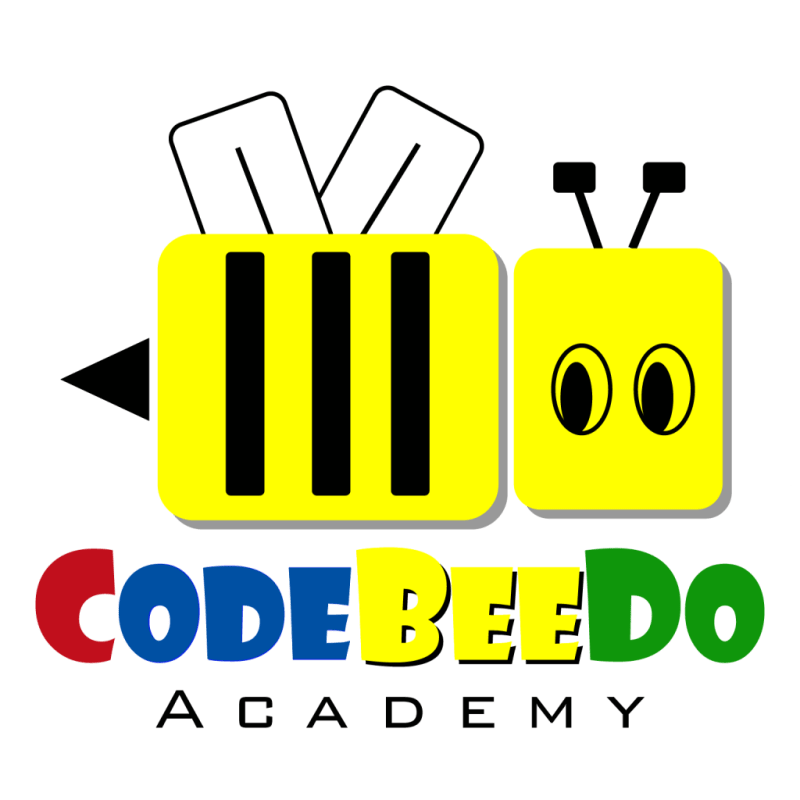 Coding Is Fun Codebeedo Academy - Premium Landscape Art Gallery - 4K