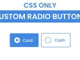 Custom Radio Buttons Css Coding Artist