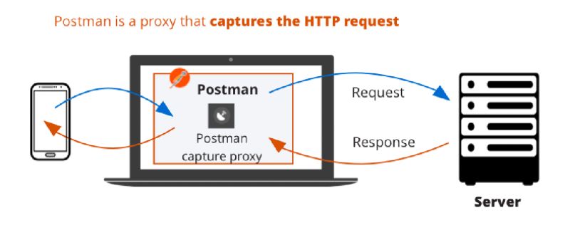 Pci Proxy Postman Api Network - Premium Ocean Pattern Gallery - Retina