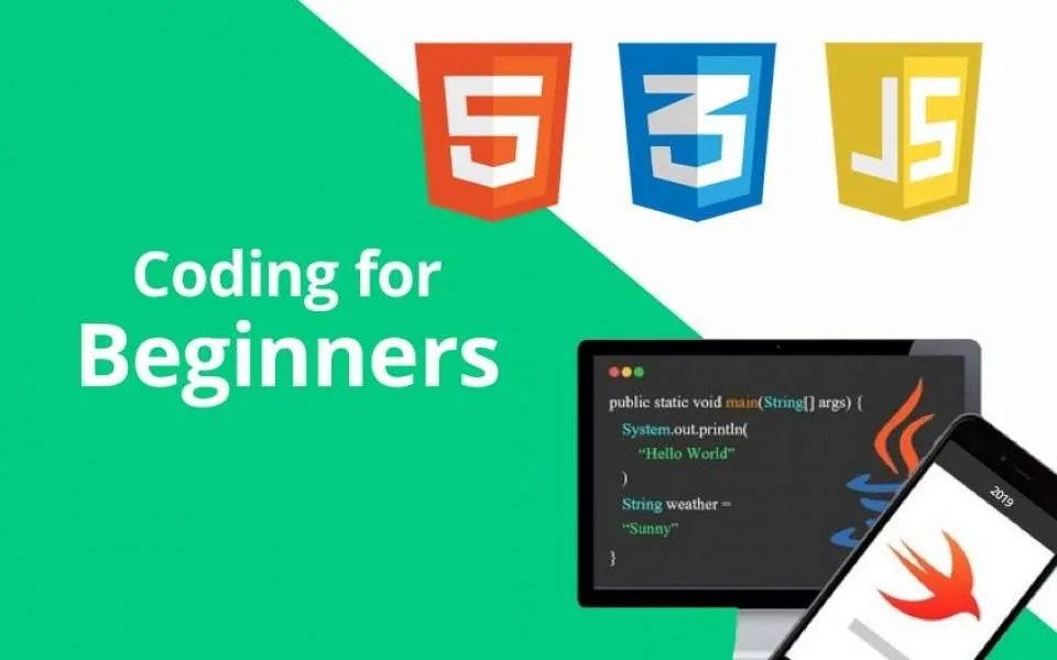 Best websites for beginners to learn coding