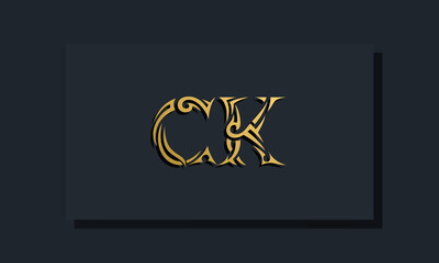 Coding Knot Logo