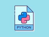7 Important Reasons Why You Should Learn Python Coding Lap