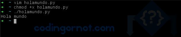 005 Holamundo Con Python Algoritmos E Programa O - HD Colorful Illustrations for Desktop