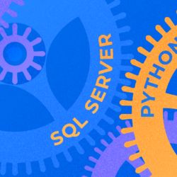 Key Differences Between Sql Server 2019 For Windows And Linux - Stunning Vintage Texture - 8K