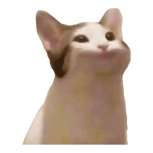 Popcat Pdf - Mobile Ocean Pictures for Desktop