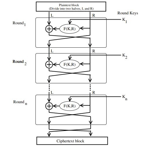 fiestal-structure-1- codingstreets