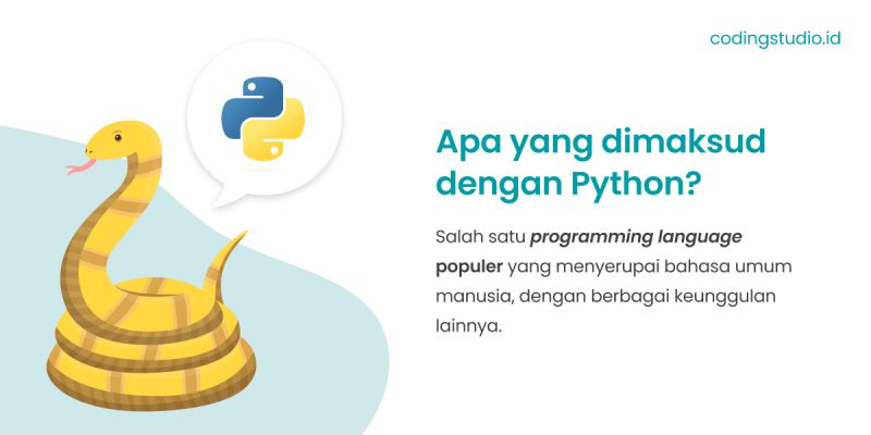 Apa Itu Program Python Bahasa Pemrograman Python - Best Sunset Pictures in 4K