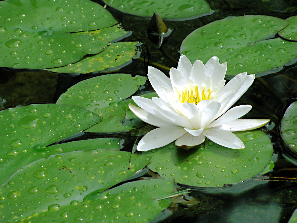 Examples of “Radical Candor”