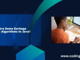 What Are Some Garbage Collection Algorithms In Java Codingzap