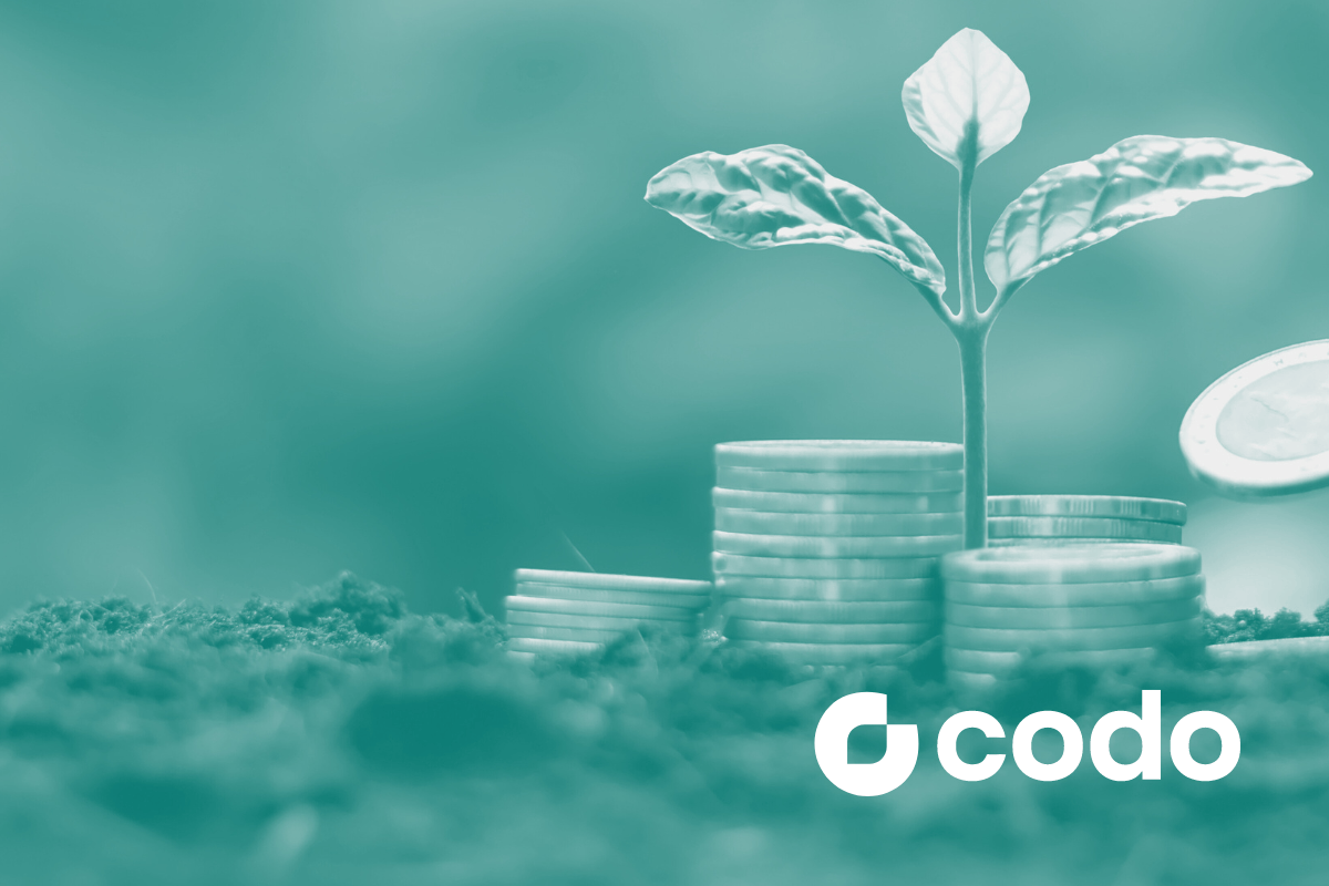 ファイナンス活用 – Codo Advisory