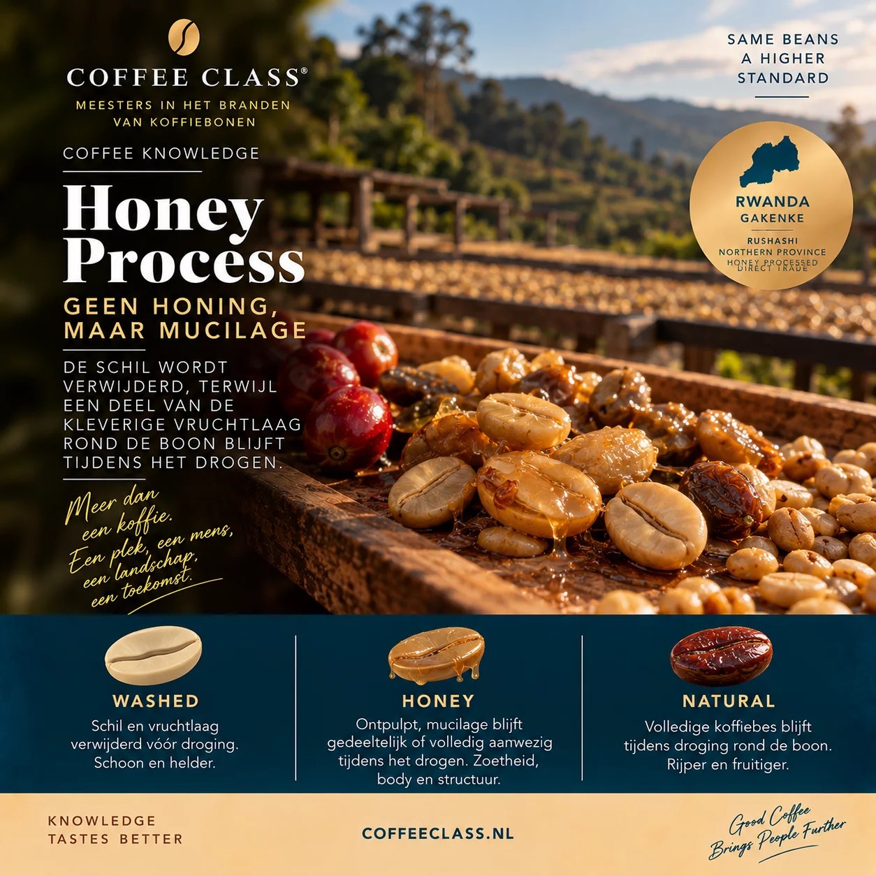 Honey process koffie uitgelegd met Rwanda Gakenke