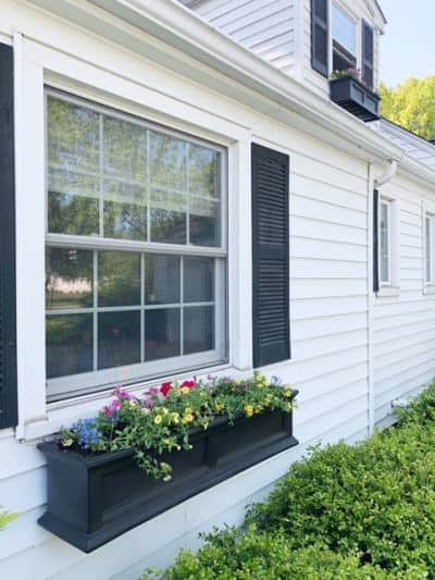 Window Boxes 2021
