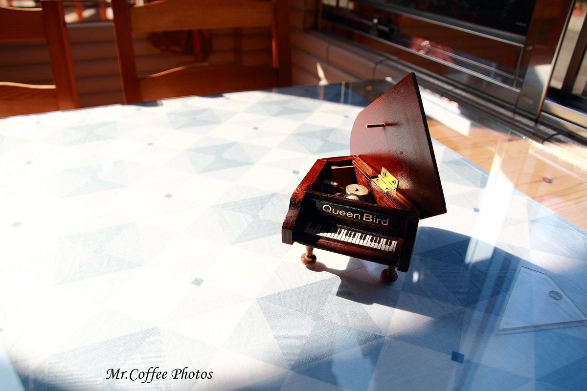 世界末日停電了，發現書本內夾藏的秘密