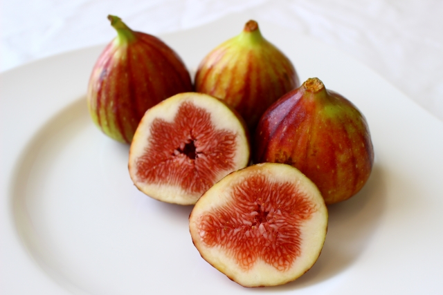 イチジク【無花果】｜食べれば整腸。外用すれば痔や水虫に効果も？