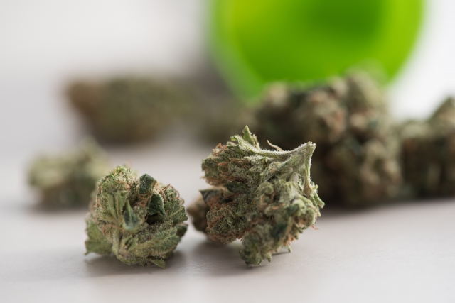 乾燥大麻