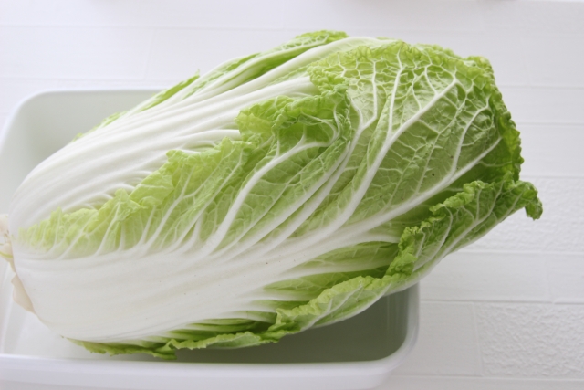 ハクサイ【白菜】｜豊富に含まれるビタミンＣを逃さぬ調理法を！