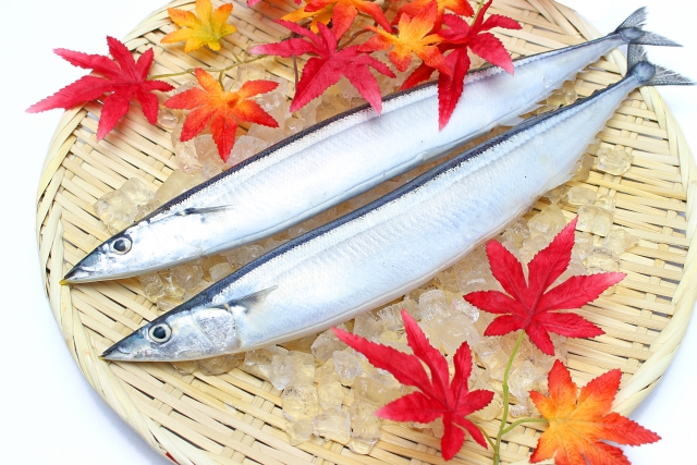 サンマ【秋刀魚】｜はらわたのビタミンB12が貧血や不妊症を改善