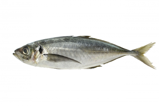アジ【鯵】｜タウリン含有で、動脈硬化や肝機能強化に効果的