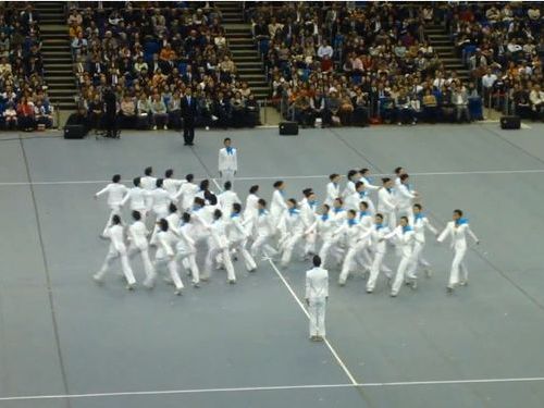 集団行動訓練【日体大】体育研究実演発表会にトリハダ！演技に感動した！チケットがほしい