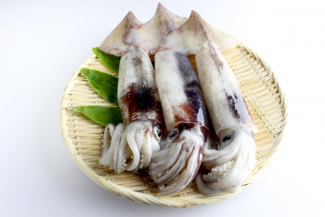 イカ【烏賊】｜タウリンで肥満に喝！糖質ほぼ0で糖尿病の方にも