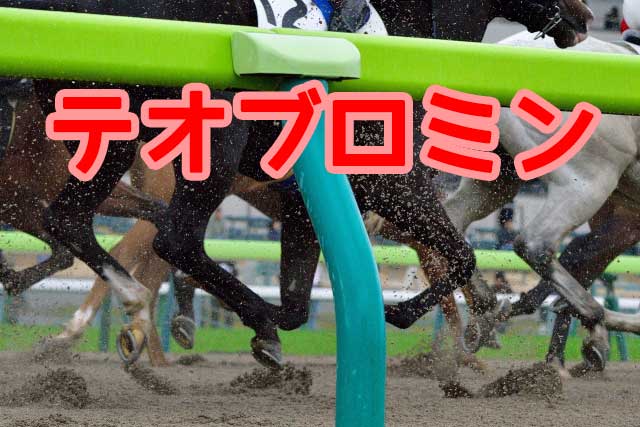 テオブロミン｜JRA競馬施行規程の禁止薬物