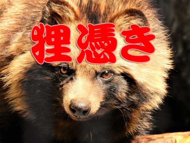 狸憑き｜死者に憑く老狸の霊と殺人事件